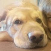 Фотография пользователя Наташик Наташик03 (natasha03) на сайте Секс Компас СПб