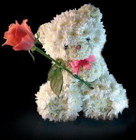 dikvolly, аватарка на СексКомпас СПб